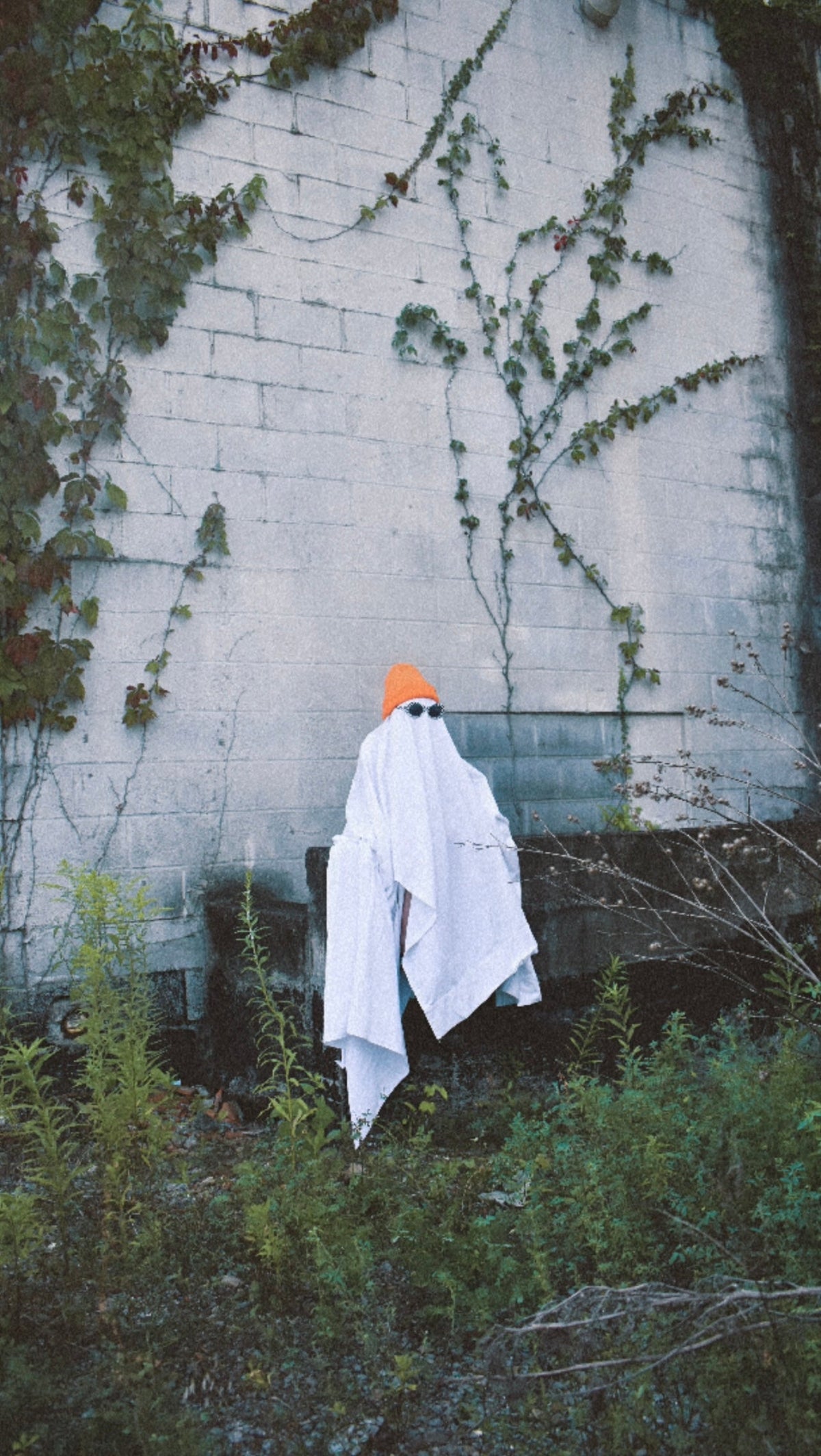 October Orange | Beanie